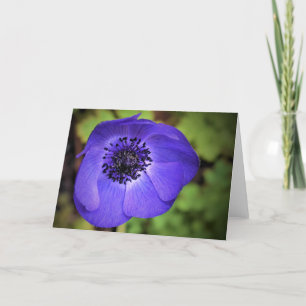 Anemone, kaart
