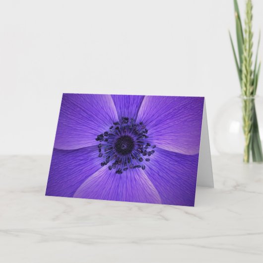 Anemone, kaart (Voorkant)