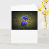 Anemone, kaart (Gele Bloem)