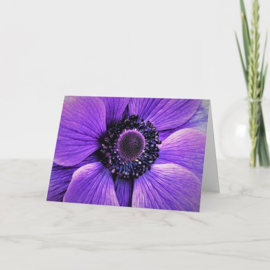 Anemone, kaart (Voorkant)