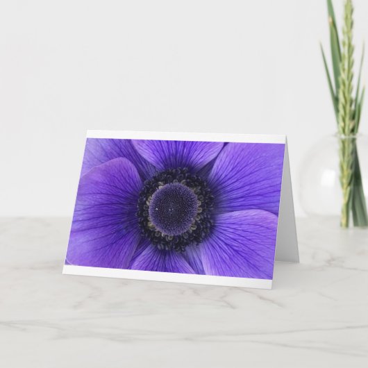 Anemone, kaart (Voorkant)