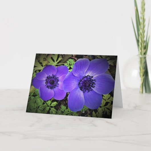 Anemone, kaart (Voorkant)