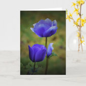 Anemone, kaart (Gele Bloem)