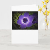 Anemone, kaart (Gele Bloem)