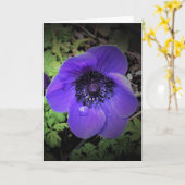 Anemone, kaart (Gele Bloem)