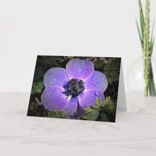 Anemone, kaart