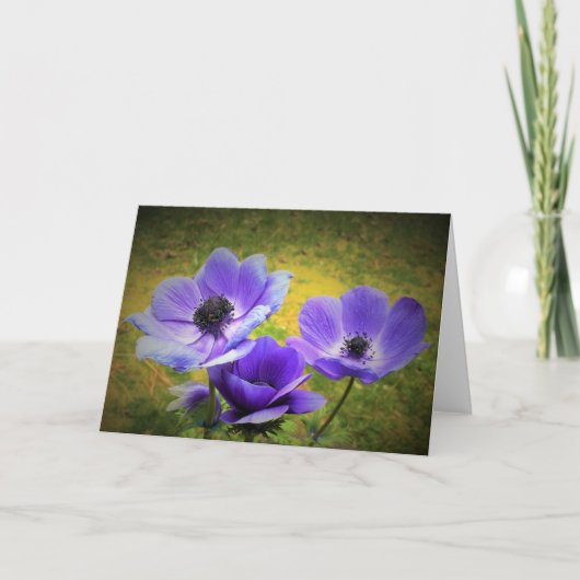 Anemone, kaart (Voorkant)