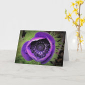 Anemone, kaart (Gele Bloem)