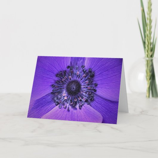 Anemone, kaart (Voorkant)
