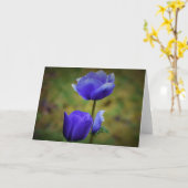 Anemone, kaart (Gele Bloem)