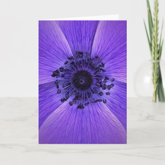Anemone, kaart (Voorkant)