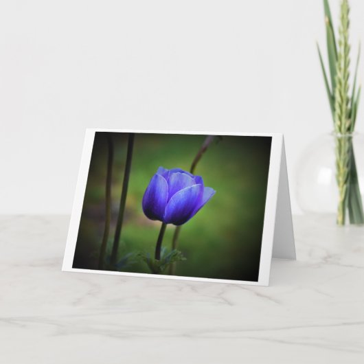 Anemone, kaart (Voorkant)