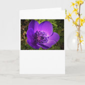 Anemone, kaart (Gele Bloem)