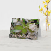 Anemone Knop Congratulatiekaart Kaart (Gele Bloem)