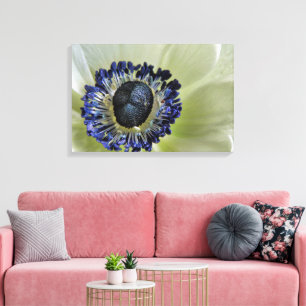 Anemone Mistral Panda Canvas Afdruk