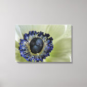 Anemone Mistral Panda Canvas Afdruk (Voorkant)