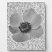 Anemone Plaque Fotoplaat (Voorkant)
