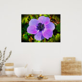 Anemone Poster (Keuken)