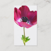 Anemone Visitekaartje (Achterkant)
