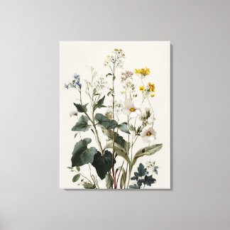 Anemone Wilde Bloemencluster Canvas Afdruk