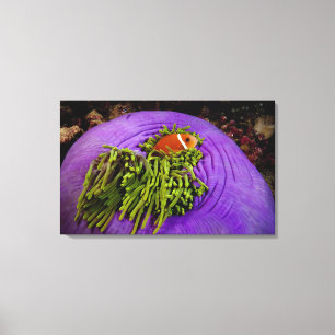 Anemonefish en grote anemon canvas afdruk