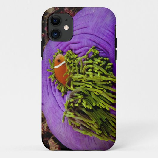 Anemonefish en grote anemon Case-Mate iPhone case (Achterkant)