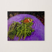 Anemonefish en grote anemon legpuzzel (Horizontaal)