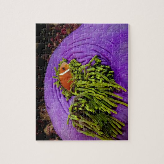 Anemonefish en grote anemon legpuzzel (Verticaal)