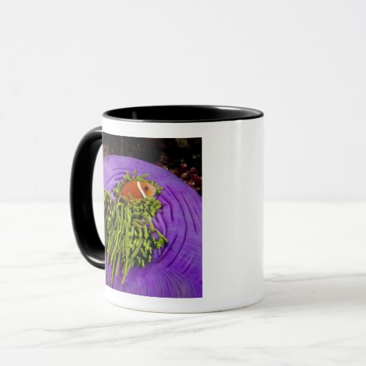 Anemonefish en grote anemon mok (Voorkant links)