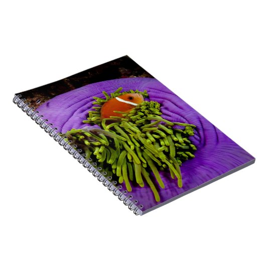 Anemonefish en grote anemon notitieboek (Rechterzijde)