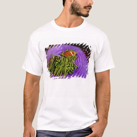 Anemonefish en grote anemon t-shirt (Voorkant)