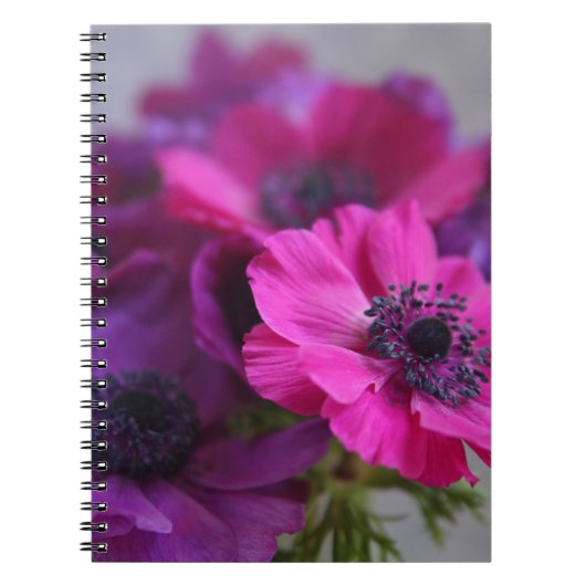anemonen notebook notitieboek (Voorkant)