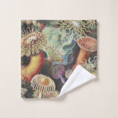 Anémones de mer, Actiniae Seeanemonen Ernst Haecke (Gant de toilette)