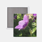 Anemones Magnet (Recto/Verso)