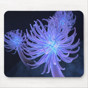 Anemones Mousepad Muismat