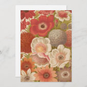 anemoon | George Nicholson (Voorkant / Achterkant)