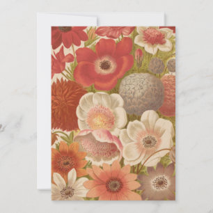 anemoon   George Nicholson