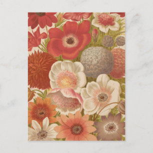 anemoon   George Nicholson Briefkaart