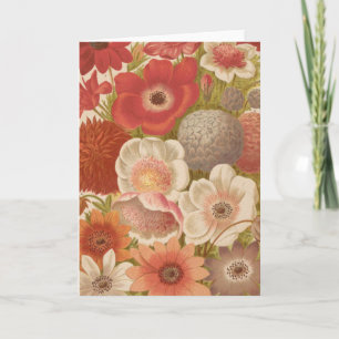 anemoon   George Nicholson Kaart