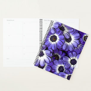 Anemoon Planner