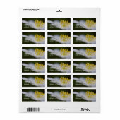 Anéone étiquette de adresse Wood (Feuille entière)