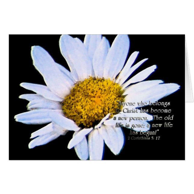 Anewlife hasStartZazzle (Voorkant Horizontaal)