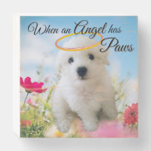 Ange Chiot