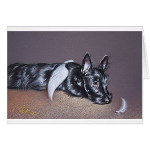 Ange fatigué (Scottie)