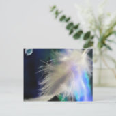 Ange Feather, carte postale (Debout devant)