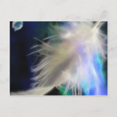 Ange Feather, carte postale (Devant)