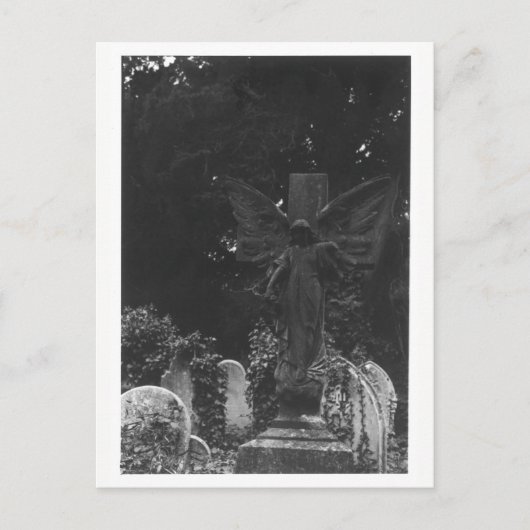 Ange Statue Vieux Cimetière Carte postale (Devant)