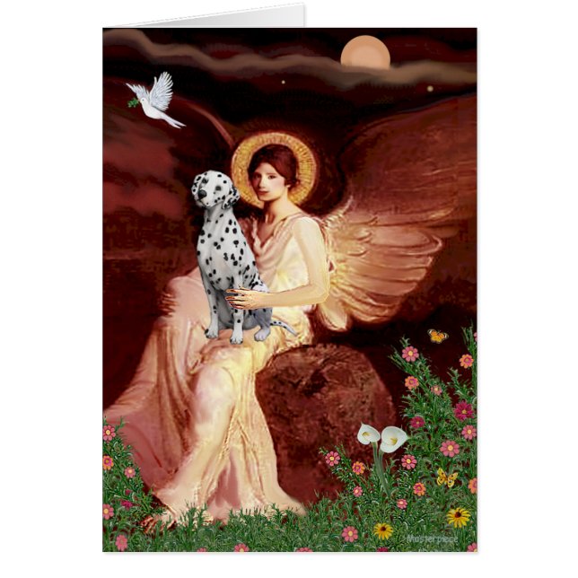 Angel assis - Dalmatie (Devant)