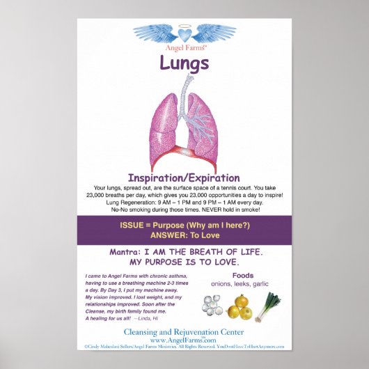 Angel Boerderijen Lung Chart Poster (Voorkant)