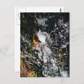 ANGEL BRIEFKAART (Voorkant / Achterkant)